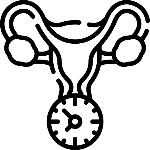 Ícone de menopausa